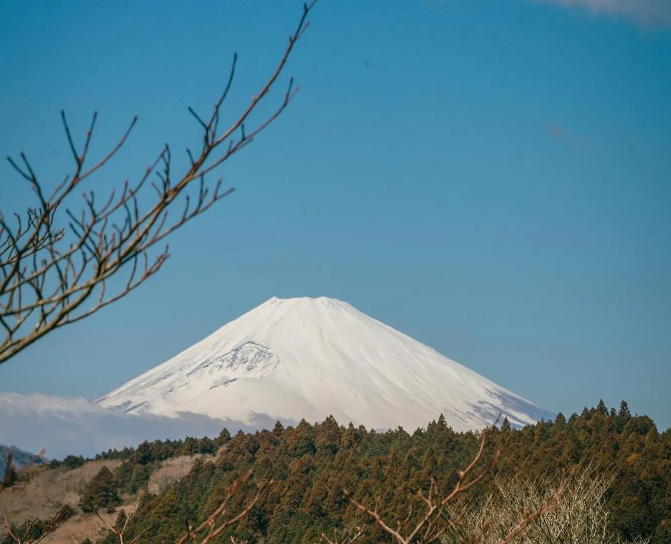 הוילה האקונה 富士山の眺望- 超高6メートルロフト- 芦ノ湖, 鳥居が目の前に - 究極露天bbq
